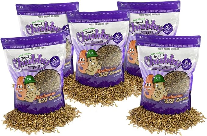 Chubby Mix Mealworm & Black Soldier Fly Larvae | 10 lbs | Non-GMO High-Protein Dried Insects for Chickens, Ducks & Wild Birds – Calcium-Rich Chicken Treats