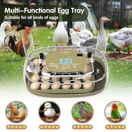24 Egg Incubator with Automatic Turning, Temperature and Humidity Control, LED Egg Candler, and Auto Water Addition, for Hatching Chicken, Goose, Duck, Quail, Pigeon, and Turkey Eggs