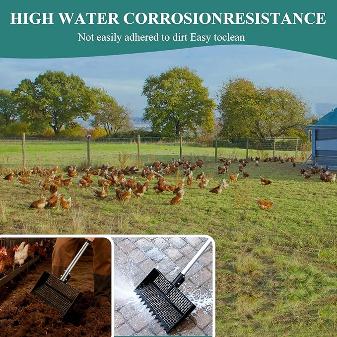 Chicken Poop Scooper and Rake 2-in-1 12” Wide Metal Coop Scoop for Sand Sifting Shovel with 22" to 62” Adjustable Stainless Steel Handle Cleaning Tools for Chicken Coops & Farm Animals Scoop