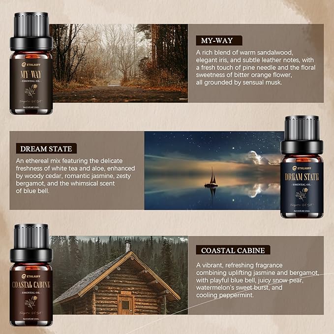 Hotel Diffuser Oils, Hotel Collection Diffuser Oil, Luxury Essential Oil Set for Diffuser, Soap & Candle Making Scents - My-Way, Dream State, Coastal Cabine, Gloden Magic, Midnight Velvet