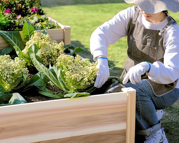 Jocisland H-Shaped Raised Garden Bed, 12x12x2 ft, 180 cu. ft Capacity, Double-Layer Wooden Planter Box for Outdoor Patio Garden