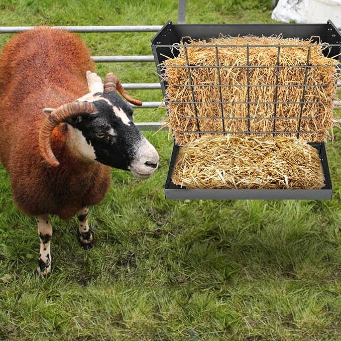 Wall Mount Hay Rack, Heavy-Duty Galvanized Metal 2 in 1 Hay and Grain Feeder, Livestock Feeder with Adjustable Distance, Hay Feeder for Goats, Sheep, Horse