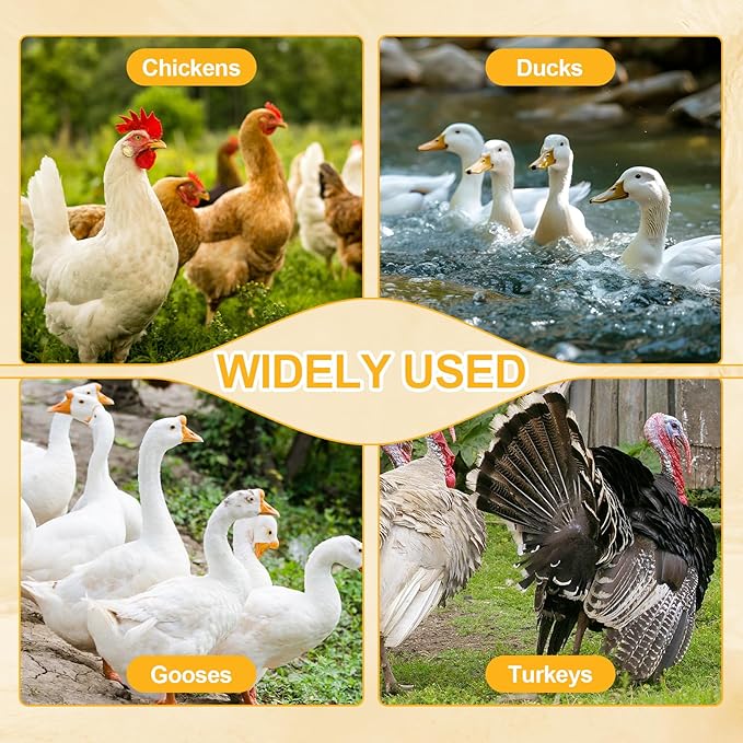 Automatic Chicken Feeder Large Capacity 85lbs Metal Chicken Feeder with Latch & Handle for Chickens, Geese, Ducks, Turkeys, Quails, Weatherproof (10-Port)