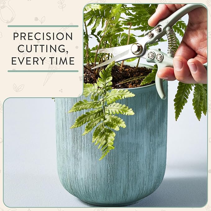 Modern Sprout Pruning Shears, Herb Snipping Scissors, Lightweight Gardening Tools W/Easy Lock, Flower Cutter Garden Shears, Carbon Steel Blade + Reusable Holster (Green, 1-Pack)