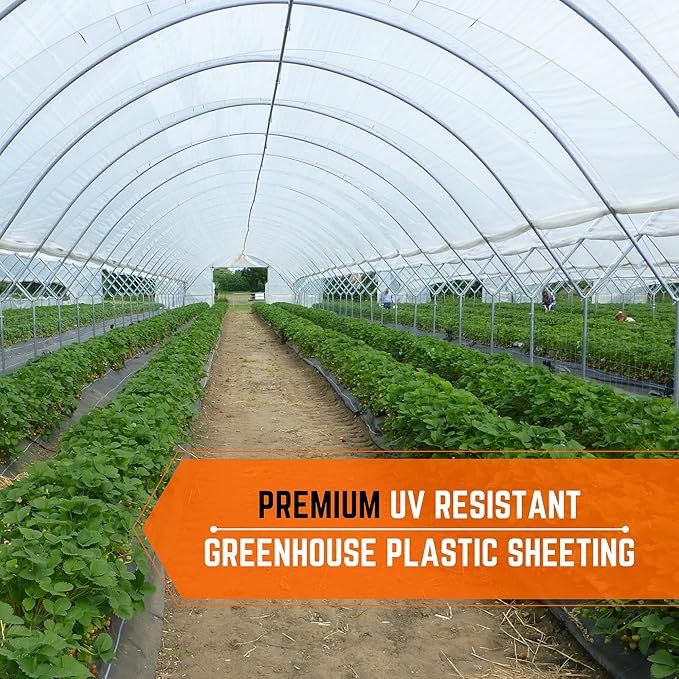 Farm Plastic Supply - Clear Greenhouse Plastic Sheeting - 6 mil - (25' x 15') - 4 Year UV Resistant Polyethylene Greenhouse Film, Hoop House Green House Cover for Gardening, Farming, Agriculture