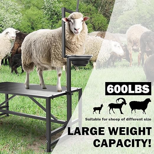 600 Lbs Goat Milking Stand with Feed Bin, Livestock Stand for Sheep Trimming Hooves, Goat Stantion Metal Black with Adjustable Head Piece and Legs, Large Size