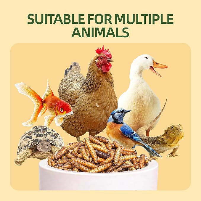 10 LB Dried Black Soldier Fly Larvae for Chickens, High Protein Chicken Feed with More Calcium Than Mealworms, Non-GMO Natural BSFL Treats for Laying Hens, Ducks, Quail, Birds & Reptiles
