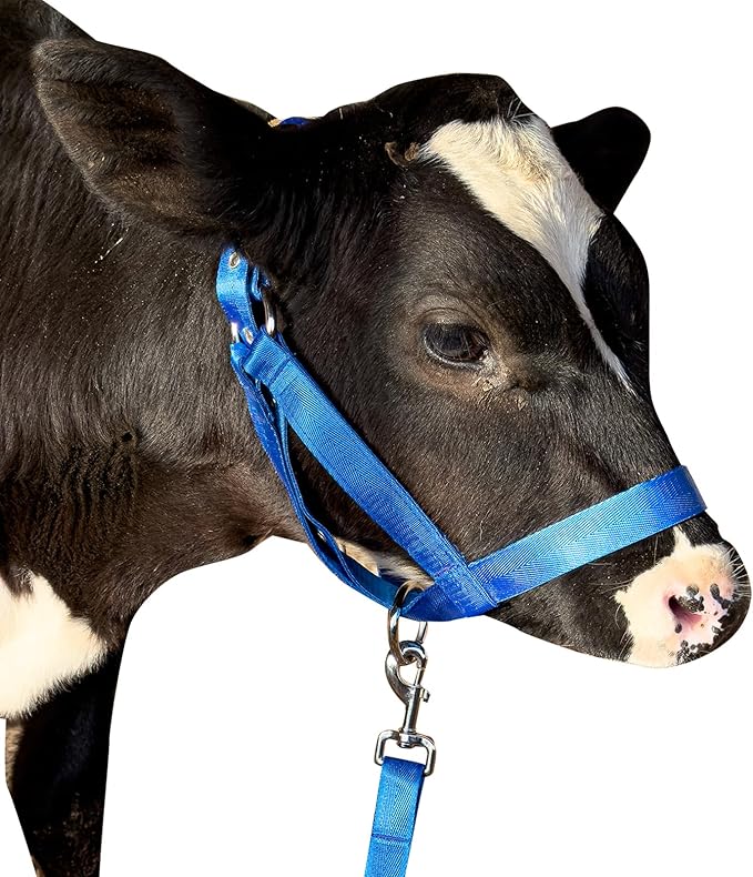 perixir Cow Halter Cattle Halters Calf Halter with Leading Rope，Adjustable Nylon Livestock Cattle Halter，for Miniature Horse Donkey Goat Foal
