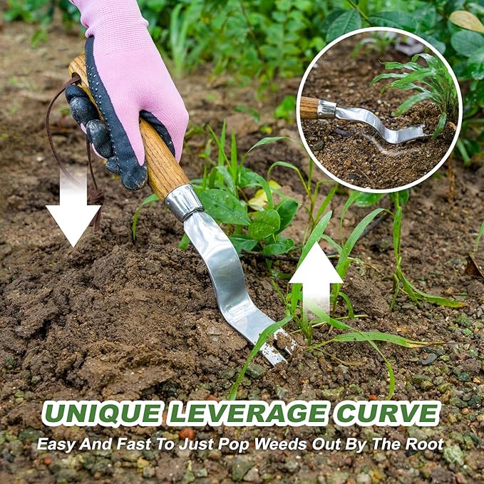 Weed Puller Tool, Hand Weeder with Good Leverage for Easy Pulling Weeds, Heavy Duty Stainless Steel Dandelion Puller Tool, Weed Digger Fork with Comfortable Wood Handle for Removal Dandelion crabgrass