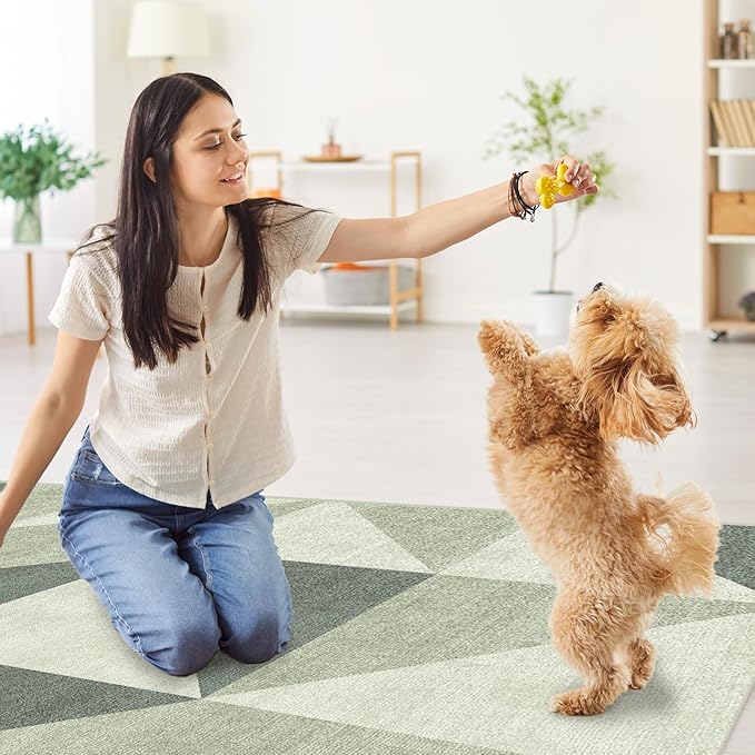 Washable Geometric Green Area Rugs 3x5 Modern Neutral Abstract Non Slip Low Pile Indoor Floor Small Carpet for Living Room Bedroom Dinning Room Kitchen