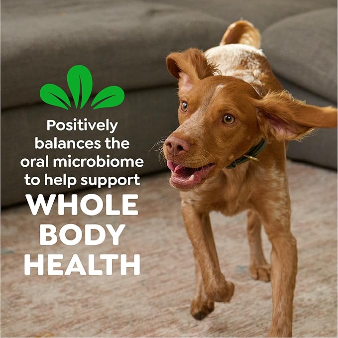 Greenies Veterinarian-Recommended Adult Natural Dental Dog Treats Large Size, Original Flavor, 12 oz. Pack, 8 Count