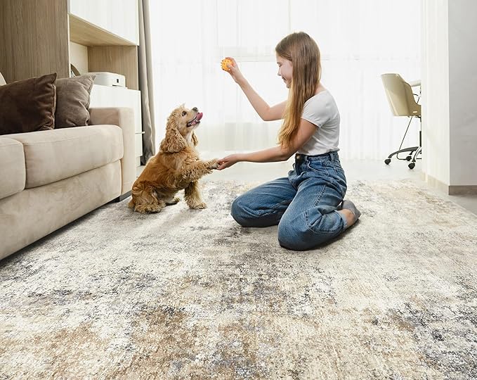 7x9 Area Rug Living Room Rugs - Washable Neutral Modern Abstract Soft Thin Large Rug Indoor Floor No Slip Rug Carpet for Bedroom Under Dining Table Home Office Decor - Golden Grey