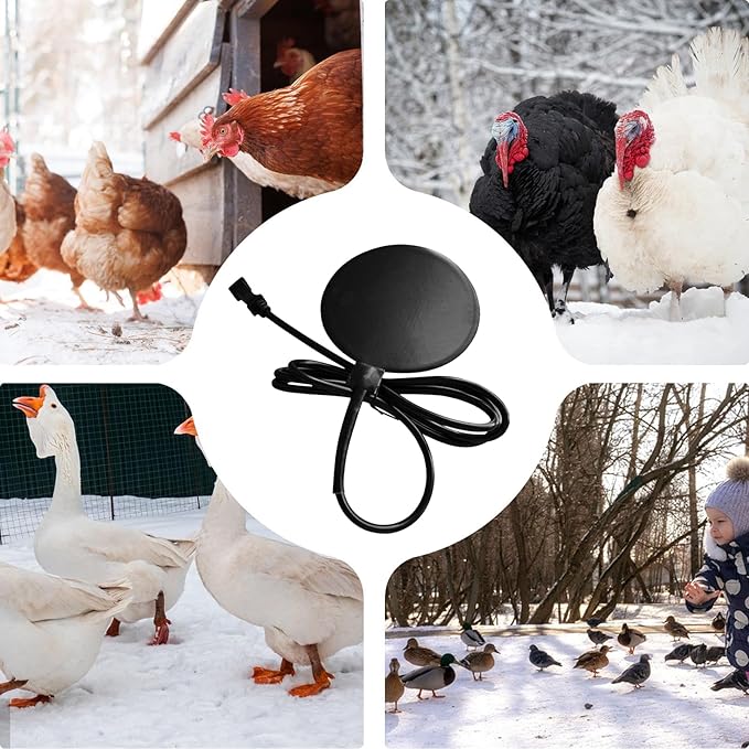 Chicken Water Heater, Weather-Resistant, 1piece, Poultry Water Warmer, Coop Freeze Proof Heater, Easy Setup, for Winter Poultry Farming Livestock Farm Outdoor