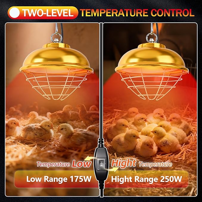 Nirvix 250W Chicken Coop Heater, Brooder Heat Lamp for Chicks, 2-Temp Settings (175W/250W), Adjustable Hanging Height & Waterproof Design for Quail, Ducks, Rabbits, Pets Indoor Outdoor Use