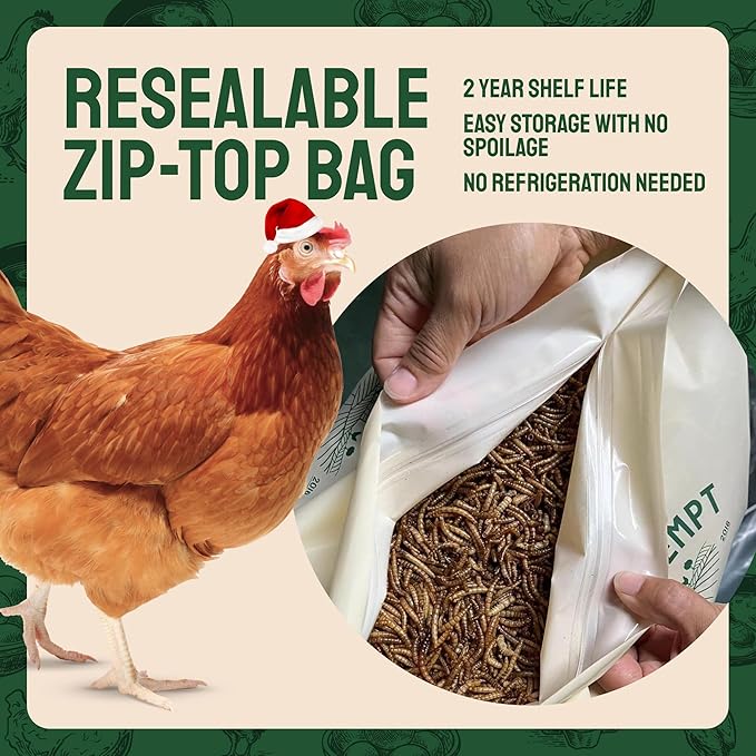 Hatortempt Dried Mealworm Bird Food - 20 Lb Bulk Pack - High Protein Poultry & Chicken Feed - Duck Food & Wild Bird Feed & Quail Treats