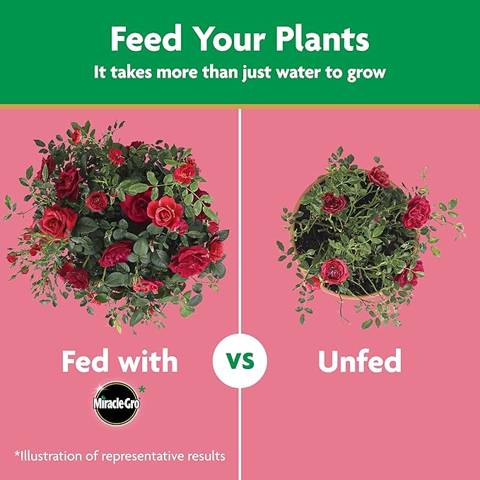 Miracle-Gro Water Soluble Rose Plant Food, 1.5 lb