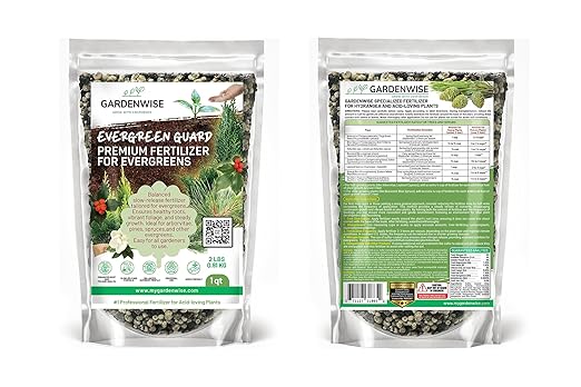 Evergreen Fertilizer – All-Purpose Granular Plant Food for Outdoor Trees and Shrubs, Azaleas, Magnolias, Pines & Arborvitae – Slow-Release Formula (3 quarts)
