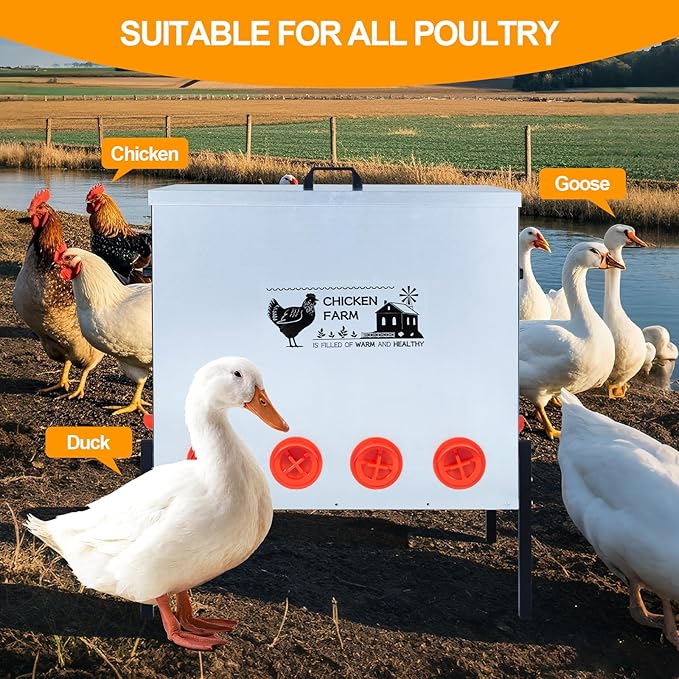 Automatic Chicken Feeder Box 100 lbs, 10 Feeding Ports, No Waste Poultry Feeder with Locking Lid and Adjustable Legs for Chickens, Ducks, Geese Galvanized Metal (100 Lbs-10 Ports)