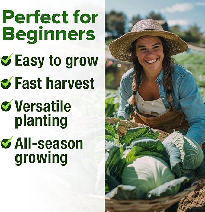 HOME GROWN 7 Cabbage Seeds for Planting - 2000+ Heirloom Seeds - Golden Acre,BokChoy,Savoy,Michihili, Red Acre, Copenhagen Market,Jersey Wakefield - Vegetable Seeds for Planting