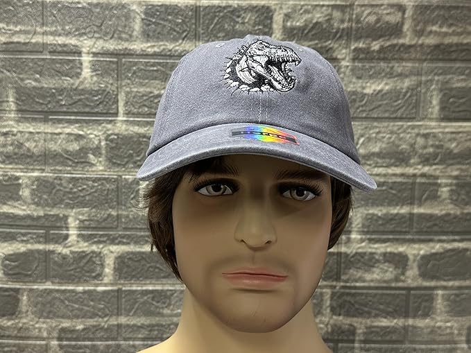 Embroidered Baseball Hats for Men and Women