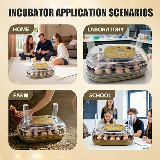 Incubators for Hatching Eggs, 24 Egg Incubator with Automatic Egg Turning and Humidity Control, Egg Candler, 360° Viewing, Chicken Incubators for Hatching Eggs, Quail Eggs, Duck Eggs Poultry