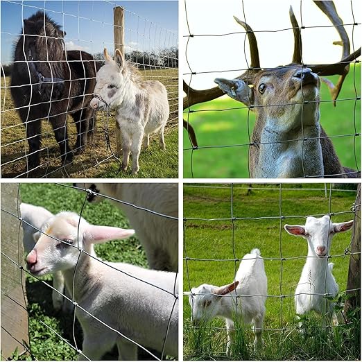 Cattle Panel for Deer Fence, Goat Fence, Cattle Fence - 4ft x 164ft 14Gauge Heavy Galvanized Wire Panels for Sheep, Poultry and Garden Protection, Field Fence Roll, Livestock Yard Barrier