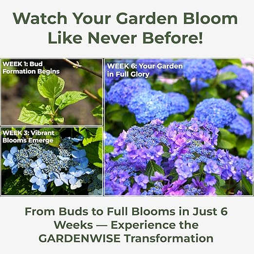 Slow Release Hydrangea Fertilizer with Iron & Sulfur – Indoor & Outdoor Soil Acidifier for Miracle Growth (4 qt)