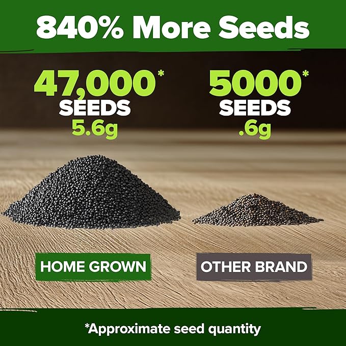 HOME GROWN 47000+ Moss Rose Seeds (Bulk Pack) Annual Flower for Ground Cover - Heirloom Non-GMO Portulaca Seeds for Planting Outdoors - Great for Low-Maintenance Gardens (Portulaca grandiflora)