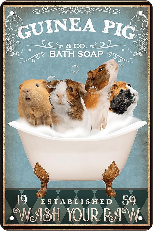 Funny Guinea Pig Decor Bathroom Wall Decor Sign Bathtub Decor Guinea Pig lovers Accessories Farm Home Wall Art Poster Retro Bar Poster 8x12 In