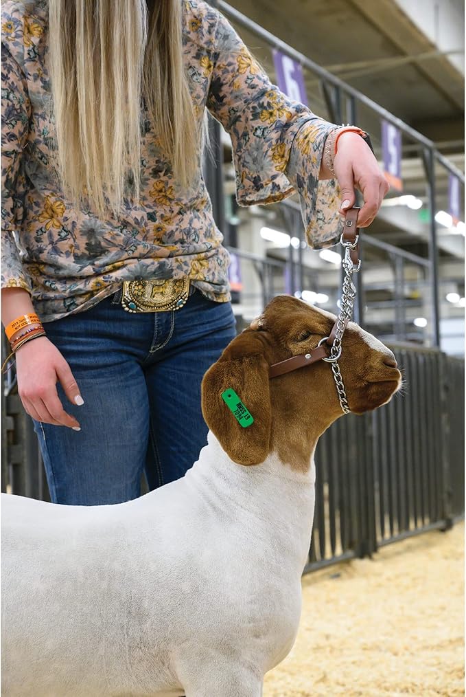Weaver Leather Livestock Brahma Webb Total Control Goat Halter, Brown