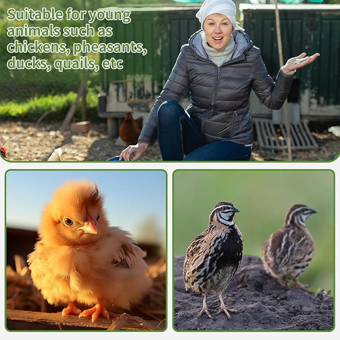 Lasnten 3 Pack Chick Toe Punch Cutter Machine, Silver Metal Toe Clipper for Chicks Precise & Quick Debeaking Tool for Poultry, Chicks, Baby Chickens