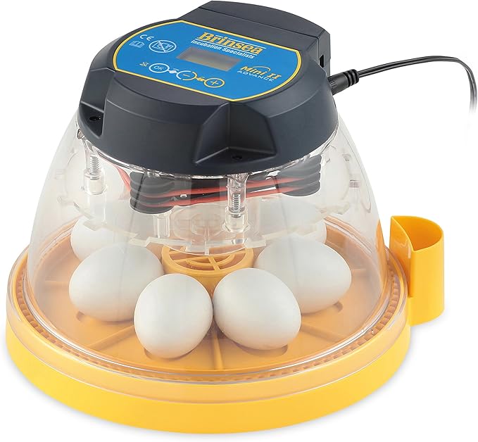 Brinsea Mini II Advance Egg Incubator with Automatic Egg Turning and Temperature Control for Hatching 7 Chicken, Duck, or Other Eggs, Ideal Incubator for Hobbyists, Teachers, and Learners