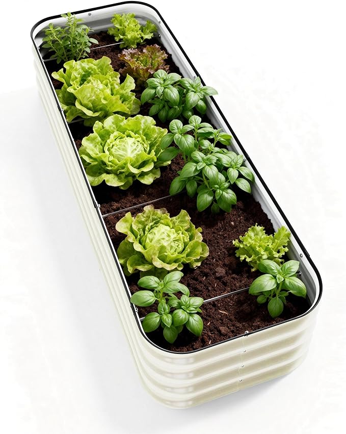 DaisyVibe Raised Garden Bed Kit, Planter Raised Garden Boxes Outdoor, Oval Large Metal Raised Garden Beds for Vegetables Flowers (White, 6.5ftx2ftx1ft)