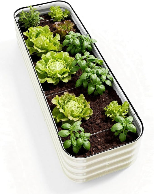 DaisyVibe Raised Garden Bed Kit, Planter Raised Garden Boxes Outdoor, Oval Large Metal Raised Garden Beds for Vegetables Flowers (White, 6.5ftx2ftx1ft)