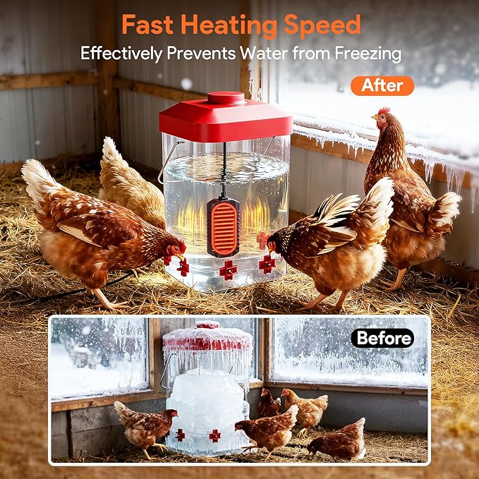 3 Gallon Heated Chicken Waterer for Winter
