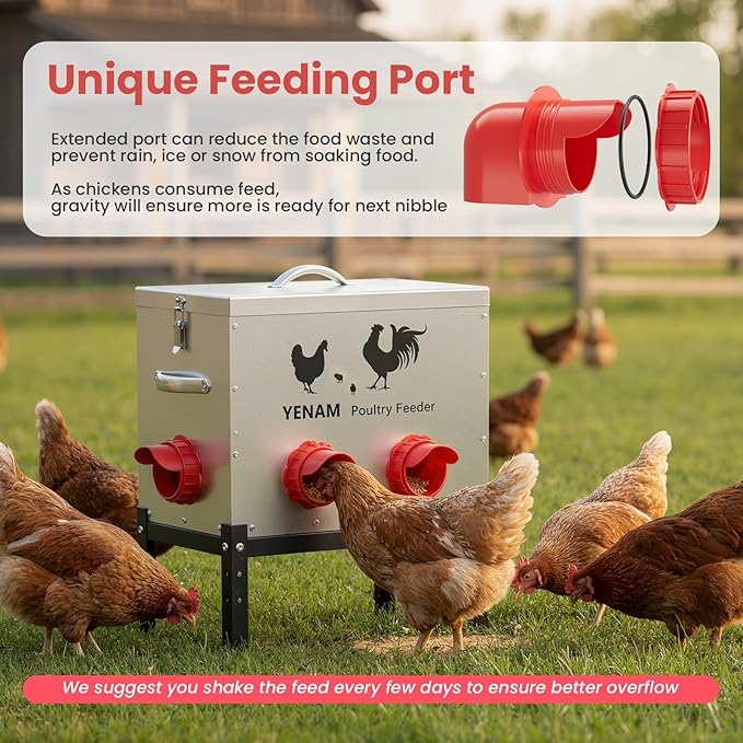40 lb Automatic Chicken Feeder No Waste, 6 Feeding Port Large Metal Chicken Feeders, Poultry Feeder with Adjustable Height Base & Locking Lid, Rat Proof Chick Feeder for Chickens, Ducks & Geese