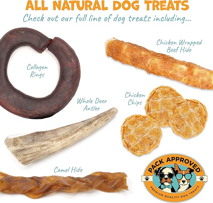 Chicken Sticks for Dogs - Dehydrated Chicken Jerky Treats. Single Ingredient Made and Sourced in America - High Protein, Low Fat - Crunchy Treat Sticks - 6.2oz (Pack of 2)