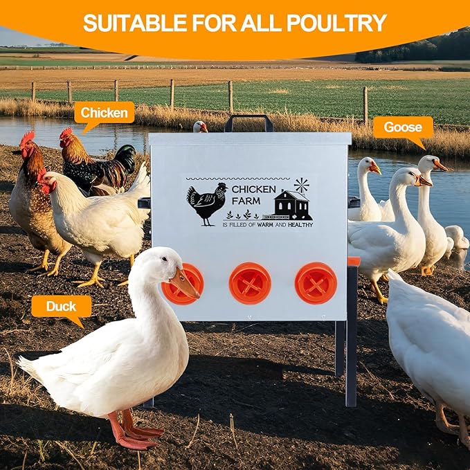 Automatic Chicken Feeder Box 50 lbs, 8 Feeding Ports, No Waste Poultry Feeder with Locking Lid and Adjustable Legs for Chickens, Ducks, Geese Galvanized Metal (50 Lbs-8 Ports)