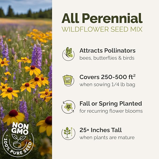 Eden Brothers All Perennial Wildflower Mixed Seeds for Planting, 1 lb, 480,000+ Seeds with Lupine, Shasta Daisy | Attracts Pollinators, Plant in Spring or Fall, Zones 3, 4, 5, 6, 7, 8, 9, 10