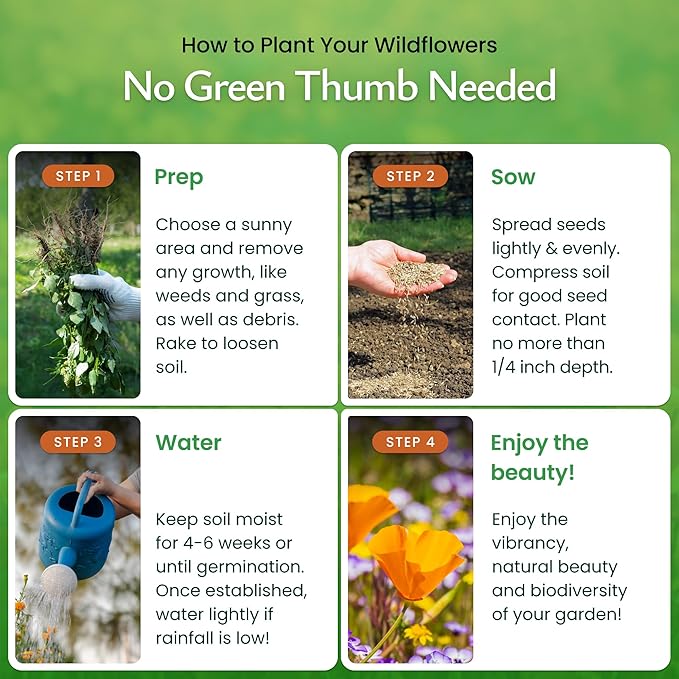 Created By Nature California Wildflower Seed Mix with Poppies, 22 Flower Varieties, 54,000+ Seeds