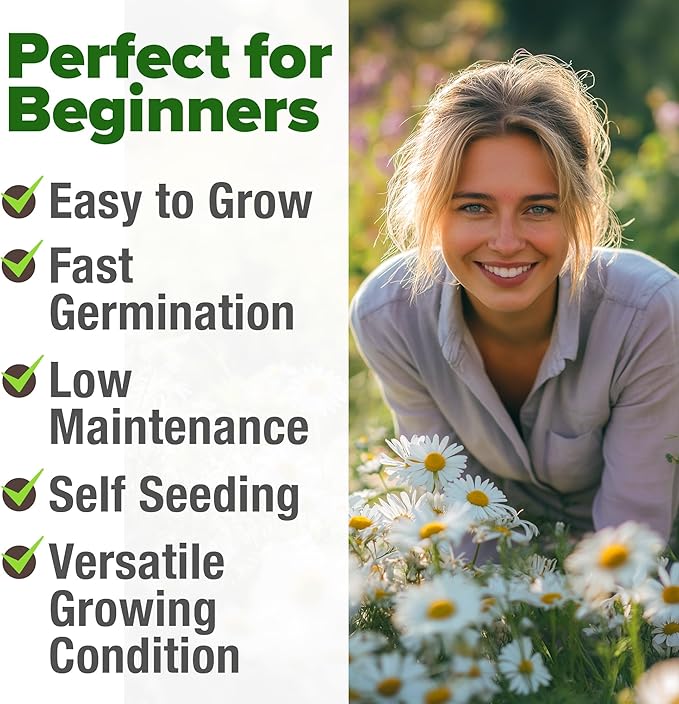 HOME GROWN German Chamomile Seed Pack – 4,560 Heirloom Seeds for Planting for Sustainable Gardens and Soothing Medicinal Herbal Teas (Matricaria chamomilla)