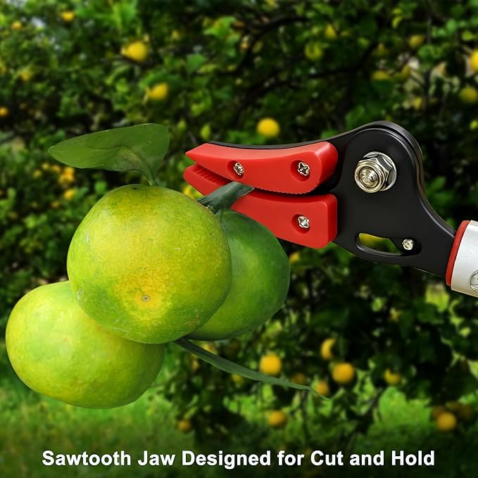 Tree Pruner, 3.3 FT Long Reach Pruner with SK5 Steel Blade, Aluminum Pole Tree Trimmer, Fruit Picking Tool