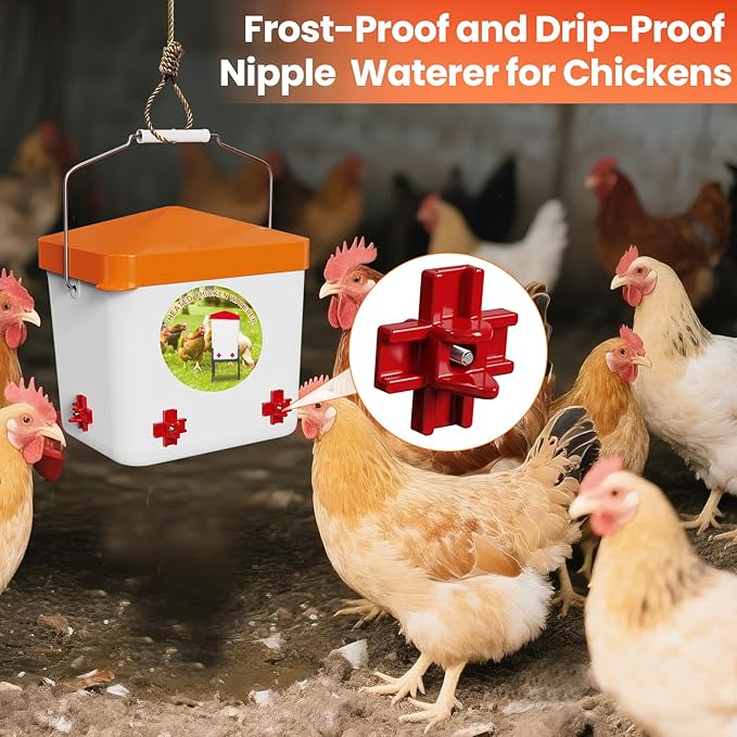 Nexum 2 Gallon Heated Chicken Waterer, Thermostatically Controlled Anti-Freeze Poultry Drinker with 4 Nipples & Adjustable Stand for Winter Coop Accessories (Orange)