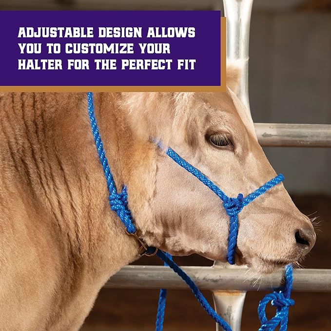 Weaver Livestock Braided Poly Rope Cattle Halter, Adjustable, Modern Style Cow Calf Halter, Livestock Handling Equipment for Showing, Blue