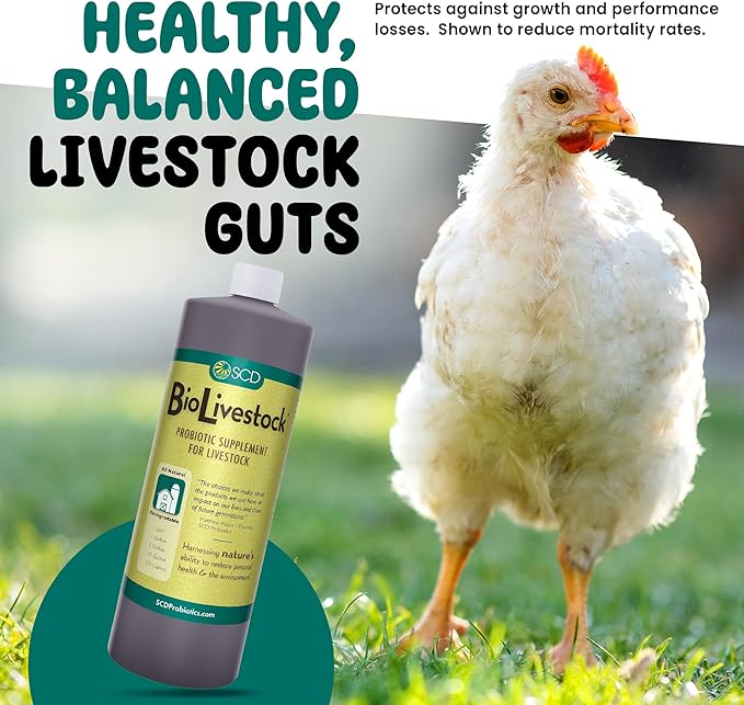 SCD Bio Livestock - Liquid Probiotic Feed & Water Additive, Organic Digestive Supplement for Cows, Pigs, Horses, Chickens, Ducks, Rabbits by SCD Probiotics