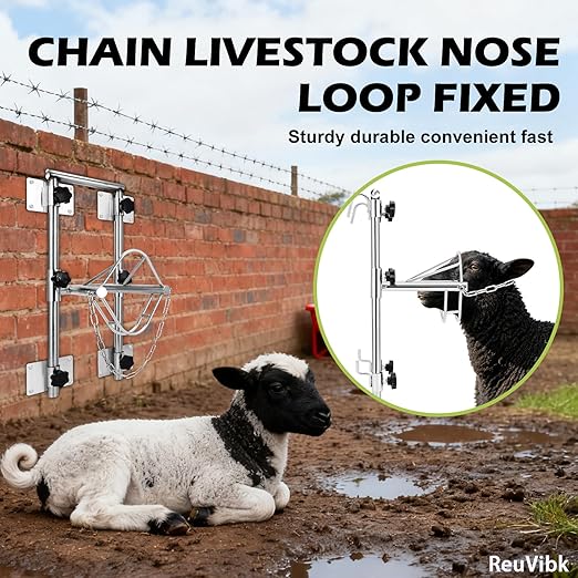 Sturdy Goat Sheep Stand, Livestock Trimming Stand Adjustable Height 304 Stainless Steel Shearing Stand Portable Sheep Head Fixture, for Goat/Sheep Milking, Shearing & Trimming Stands