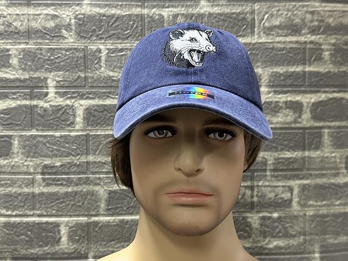 Embroidered Baseball Hats for Men and Women