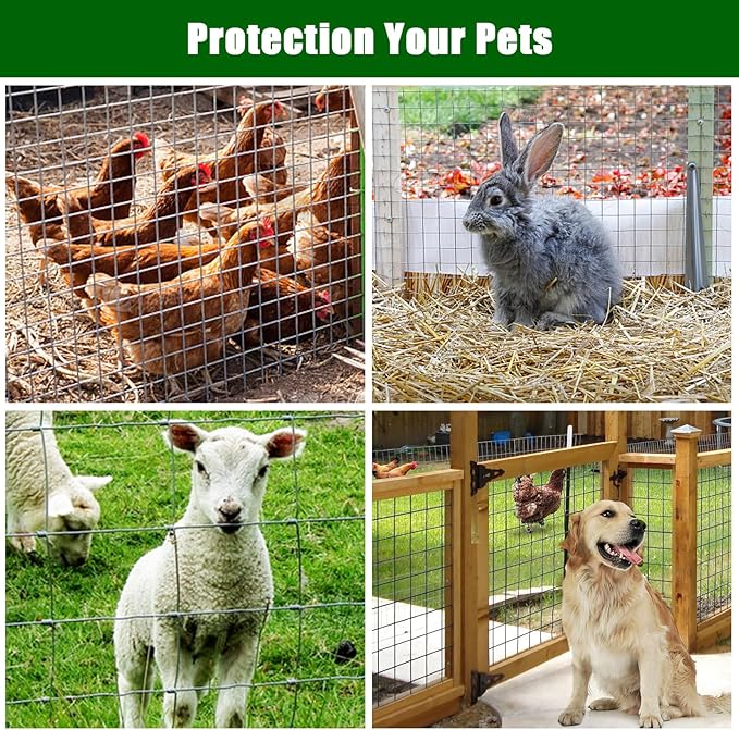 19 Gauge 1/2 Inch Hardware Cloth 72In x 100Ft – Galvanized Welded Chicken Wire Fence | Silver Mesh Roll for Garden Farm Yard Animal Plant Protection, Poultry Netting Cage Fencing