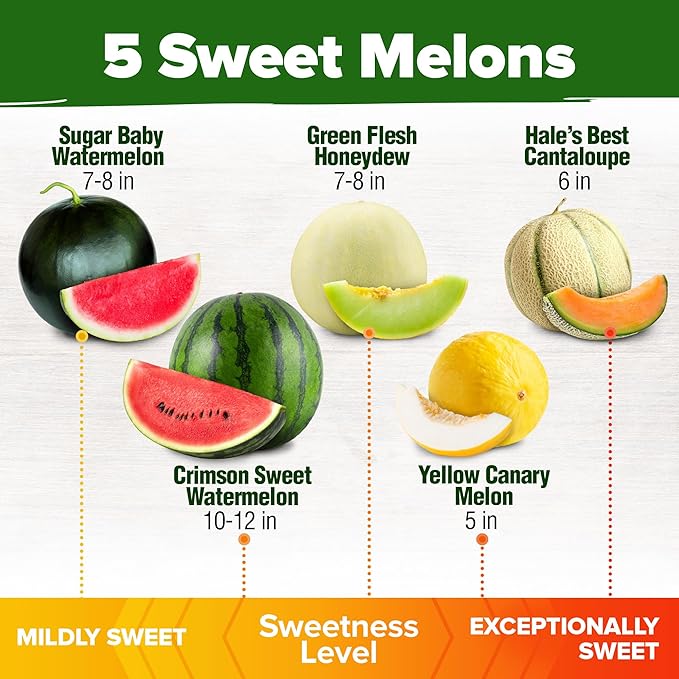 HOME GROWN Melon Seeds Variety Pack 5 Heirloom Vegetable Seeds, Watermelon Cantaloupe Honeydew Sugar Baby & Melon, High Germination for Planting Home Garden Indoors