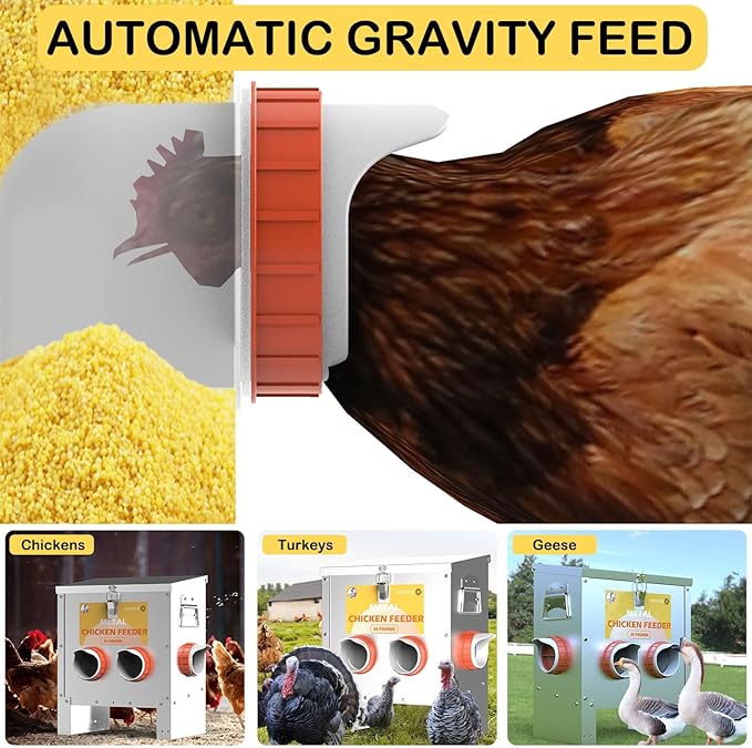 Automatic Chicken Feeder No Waste Metal Poultry Feeder Large Capacity 25lbs for Chickens, Geese, Ducks, Turkeys, Quails (4-Port)
